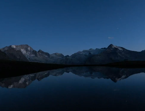 Case Study: partnership with a leading Swiss Private Equity company