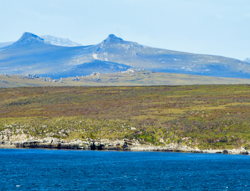 GO Falkland: Fertile Ground for Vital Conversations