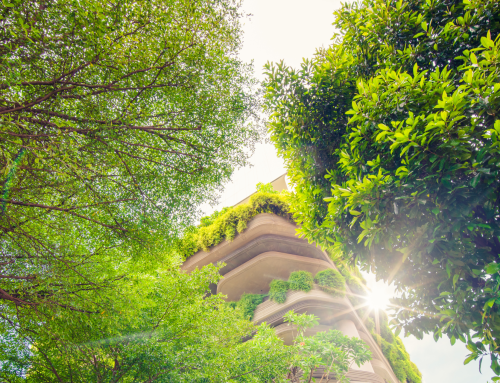 Future Ground: Practice for Tomorrow’s Leadership